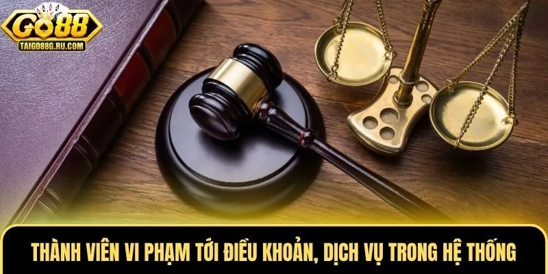 Thành viên vi phạm tới điều khoản, dịch vụ trong hệ thống