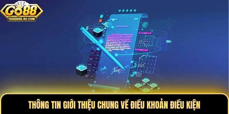 Thông tin giới thiệu chung về điều khoản điều kiện